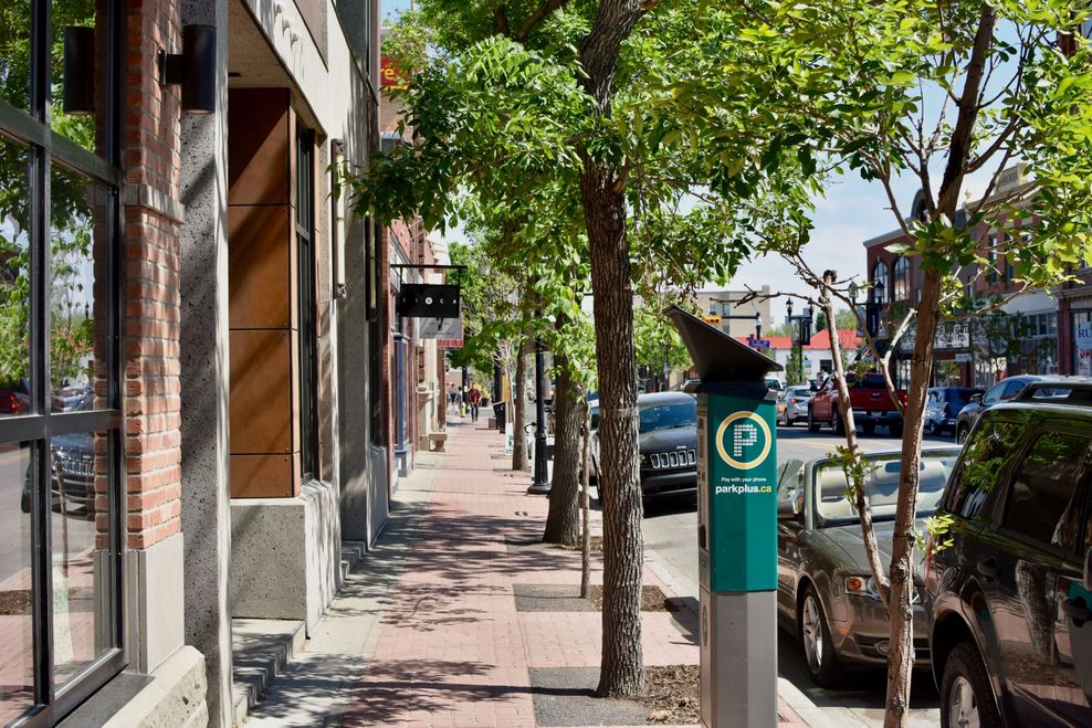 calgary spring neighbourhoods 