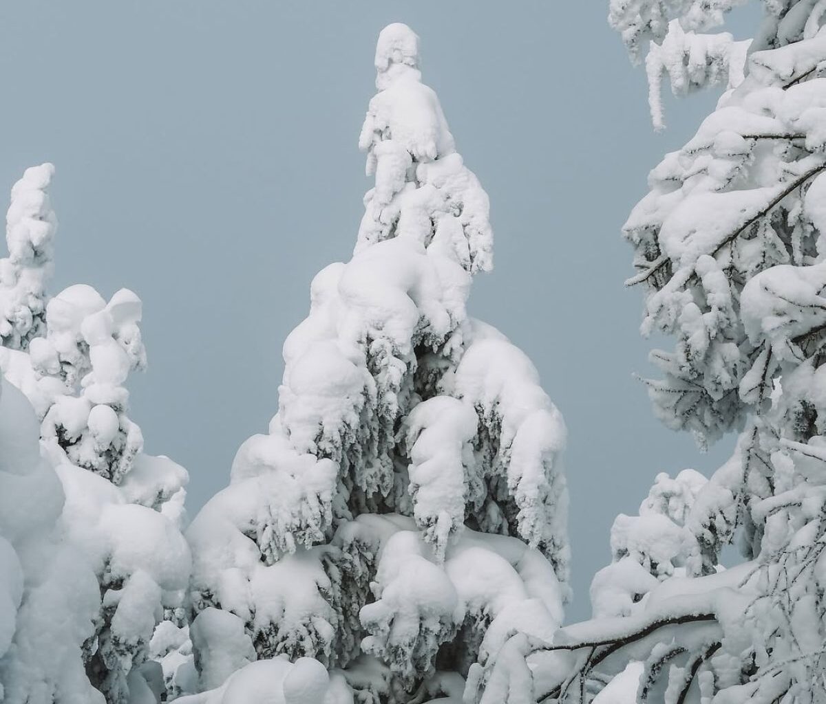 1.5 hours from Montreal - a winter hike to do during spring break