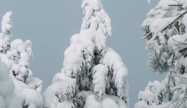 1.5 hours from Montreal - a winter hike to do during spring break