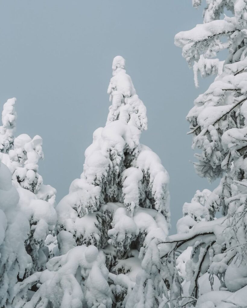 The perfect winter hike to do during Spring Break—1.5 hours from Montreal