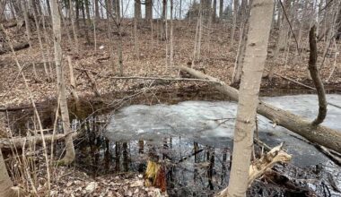 heavy snowpack good for mississauga and brampton.