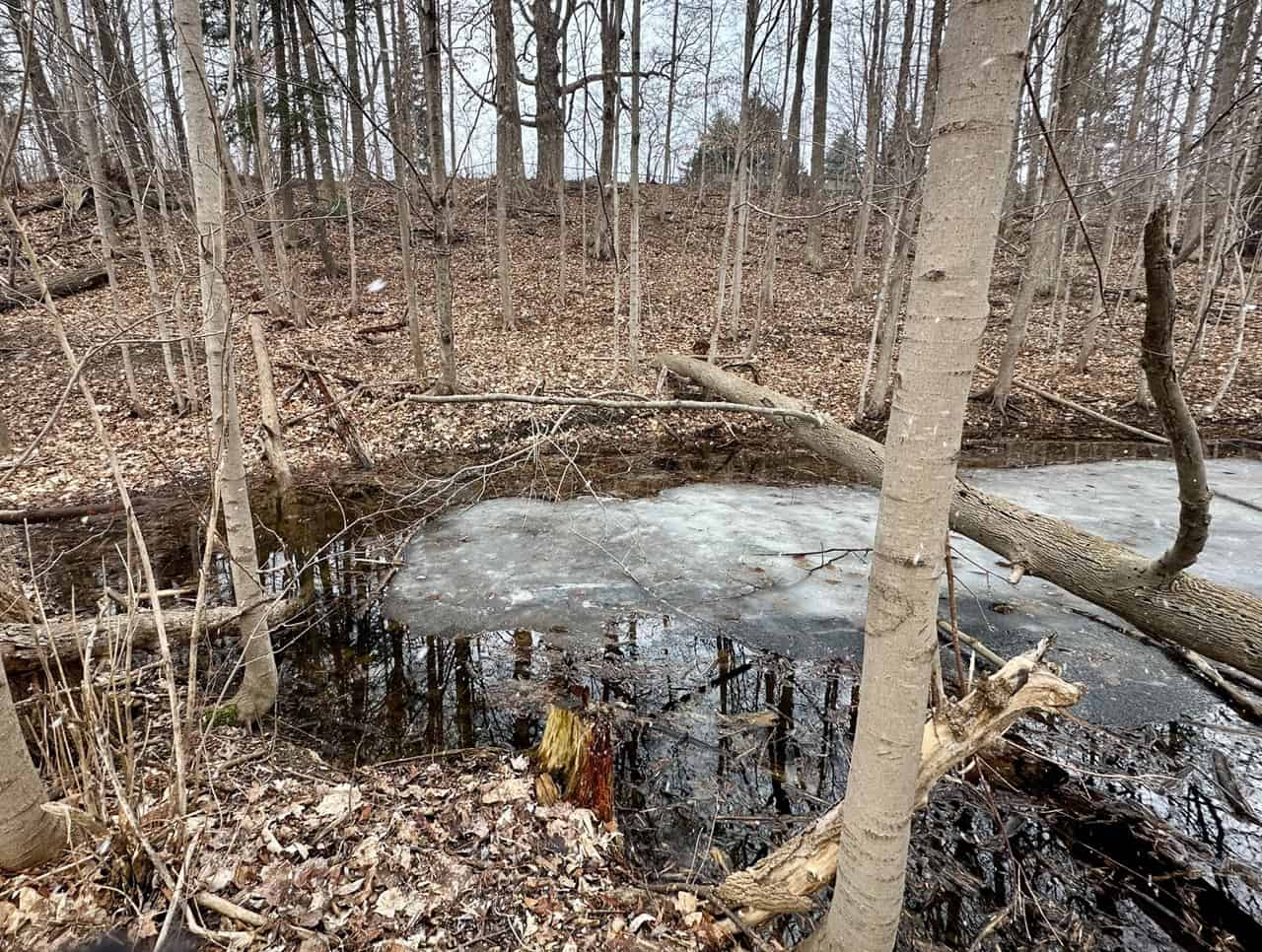 heavy snowpack good for mississauga and brampton.