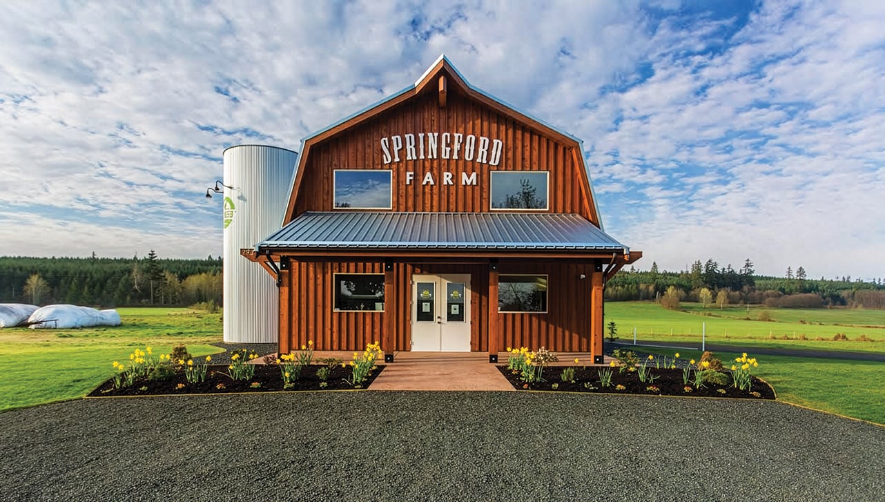 3 Vancouver Island small businesses creating space to unplug and connect