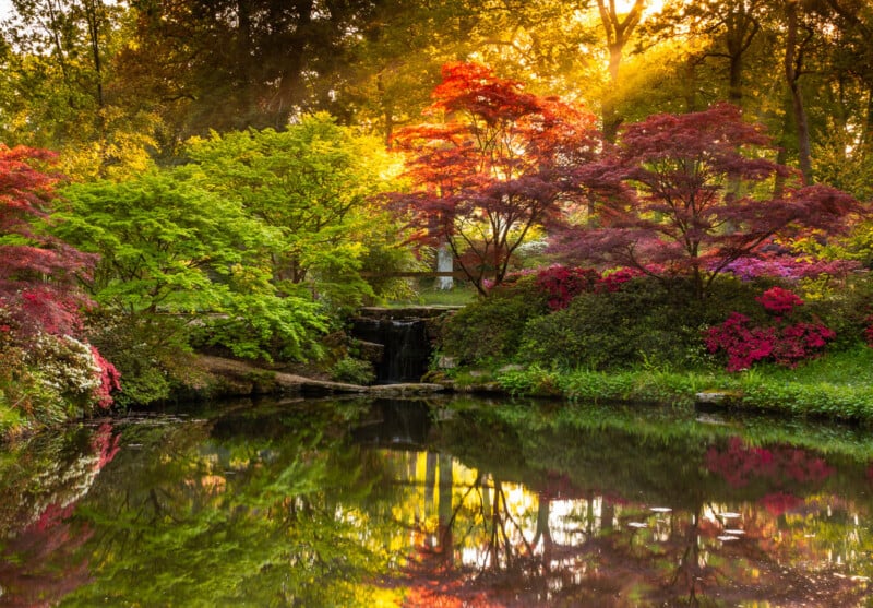A tranquil garden with vibrant trees in shades of green, red, and pink, surrounds a small waterfall flowing into a reflective pond. Sunlight filters through the trees, creating a warm, serene atmosphere.