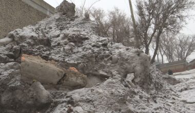 Winnipeg homeowner calling on City to fix a flooding problem in back alley