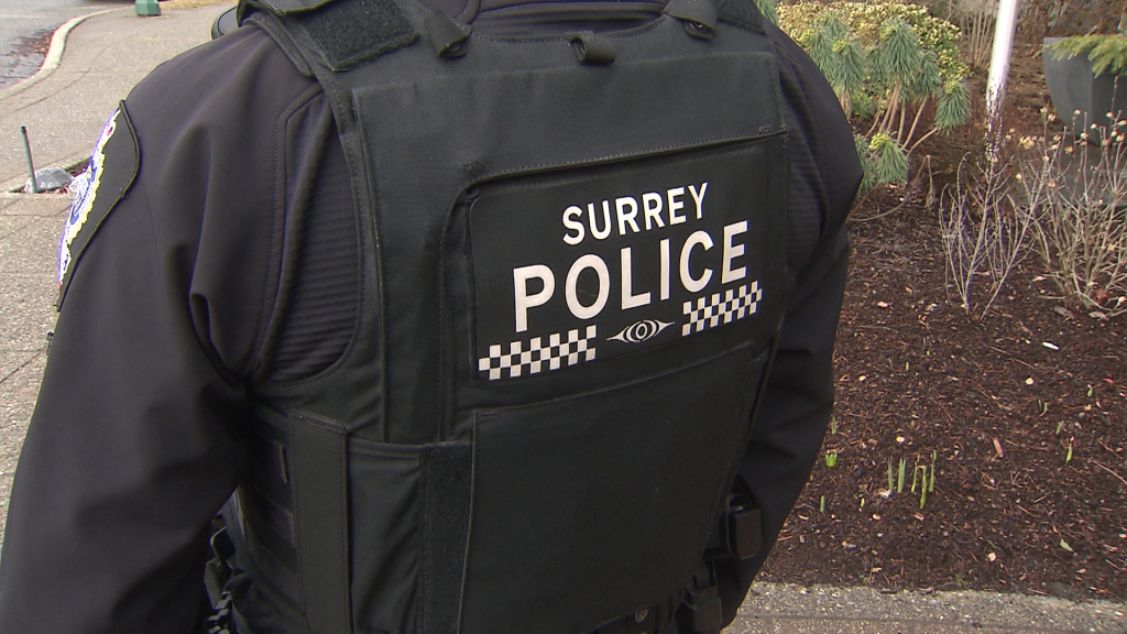 Surrey police investigating after report of person with a weapon