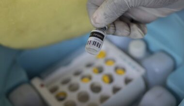 What experts have to say about the new clade