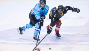 Did you know Toronto has a queer hockey league? Meet the Toronto Gay Hockey Association