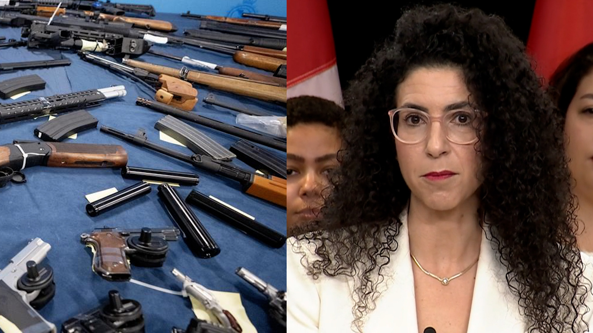 Click to play video: 'Gun control: Canada adding 179 types of firearms to prohibited weapon list'