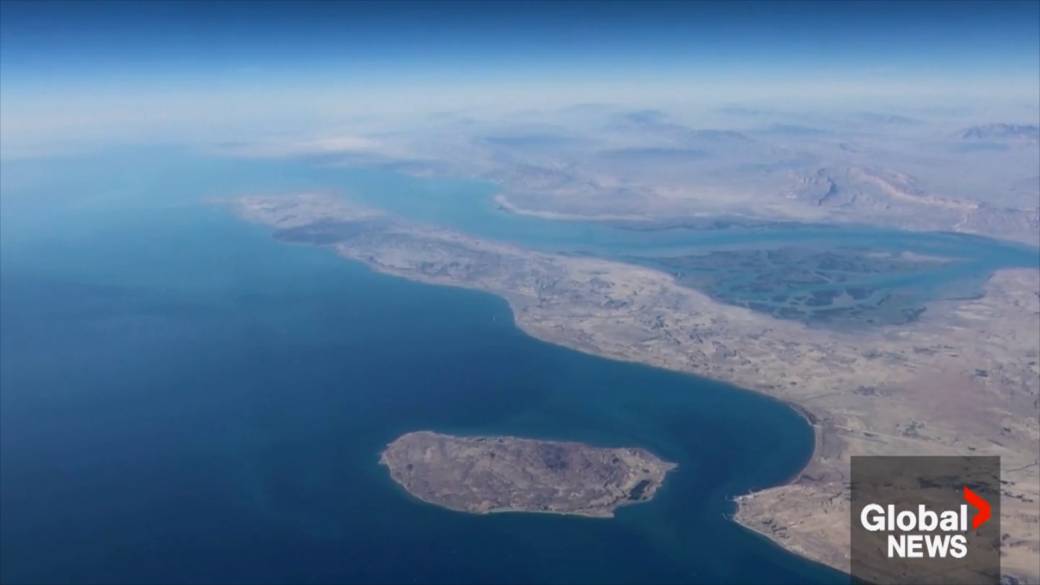 Click to play video: 'Canada and allies say they could ‘contribute’ efforts on Strait of Hormuz'