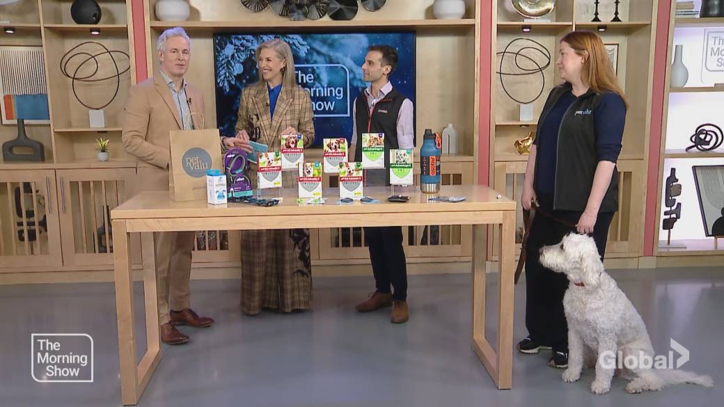 Click to play video: 'How to prepare for tick season as a pet owner'