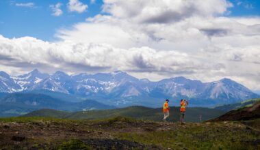 Internal emails highlight Alberta Energy Regulator leadership concerns on coal files