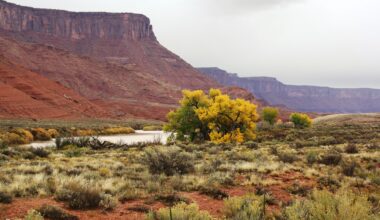 A larger reddish butte overlooks a flowing river with sage and brush on either side