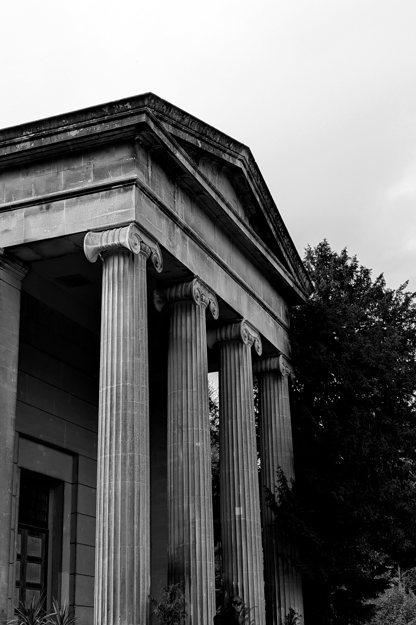 Leica Q3 Monochrom and Google Pixel 10 Pro XL comparison