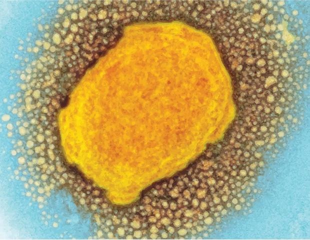 Researchers validate Mpox antibody test during outbreak in Rwanda