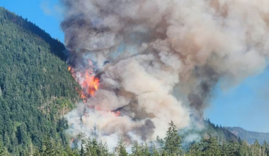 Canada's pollution levels exceed US due to brutal wildfires