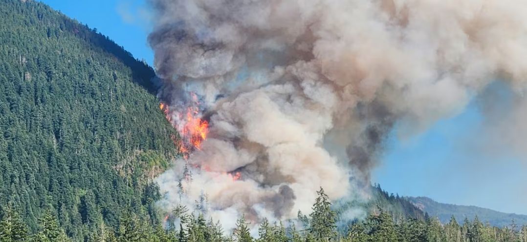 Canada's pollution levels exceed US due to brutal wildfires