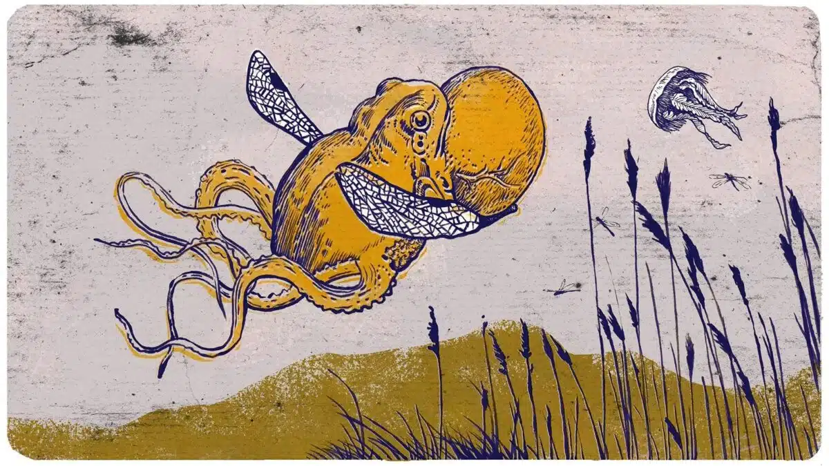 This Octopus Highlights The Remarkable Cognitive Abilities Found Beyond Land Based Species.