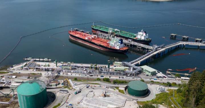 Trans Mountain oil exports doubled in 2025, new port data shows
