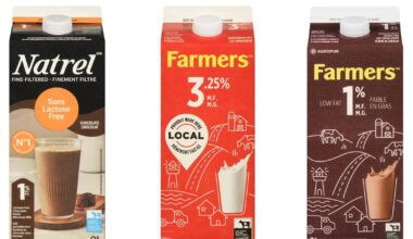 CFIA warns of possible glass in recalled milk products - CTV News