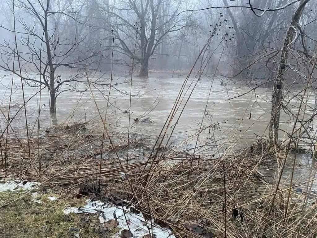 water safety statement in effect mississauga and brampton.