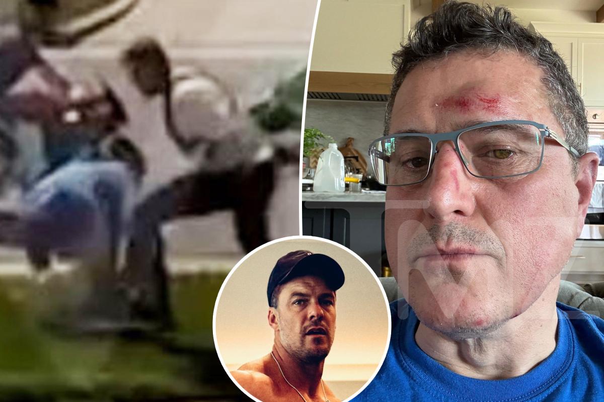 Watch 'Reacher' star Alan Ritchson repeatedly punch neighbor during wild street scuffle