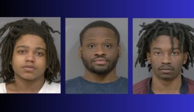 3 men charged with gun offences after traffic stop