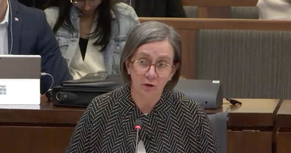 Annette Ryan, PBO nominee enters spotlight at a pivotal time
