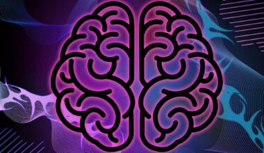 PaCT lab’s new study aims to raise awareness on how stress affects behavioural adaptability