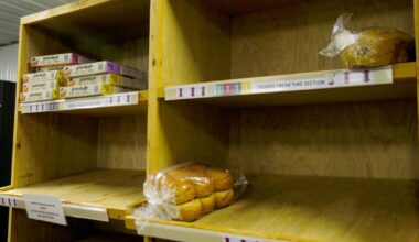 Food banks in Canada need donations, but also 'systemic change'