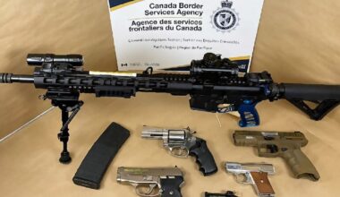 Man caught entering Canada with undeclared guns sentenced to 4 years: CBSA - CTV News