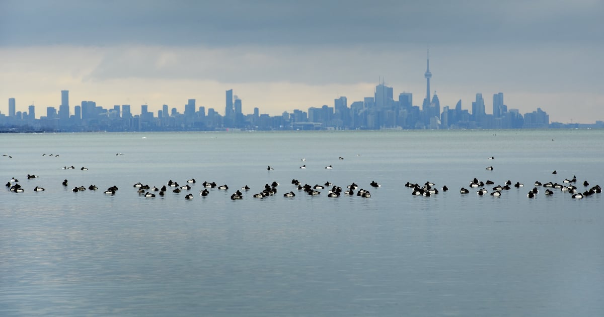 air quality warning no longer in effect