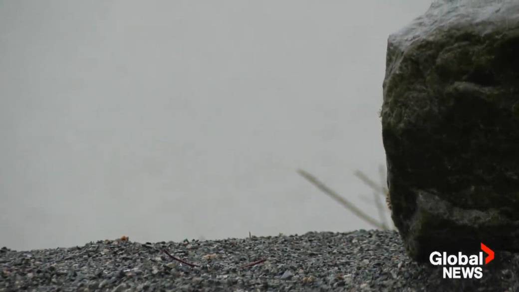 Click to play video: 'Atmospheric river set to stick around until Friday'