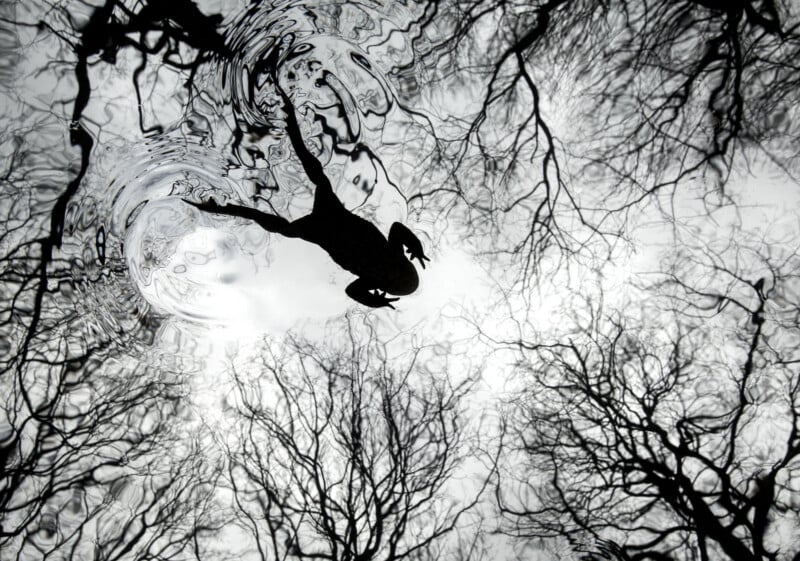 A person’s silhouette is reflected in water, surrounded by bare tree branches. Ripples distort the reflection, creating a surreal, almost dreamlike effect in black and white.
