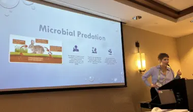 Students share research at national Indigenous STEM conference