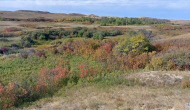 Nature Conservancy of Canada secures 426 hectares of vital grassland near Rockglen - DiscoverWeyburn.com