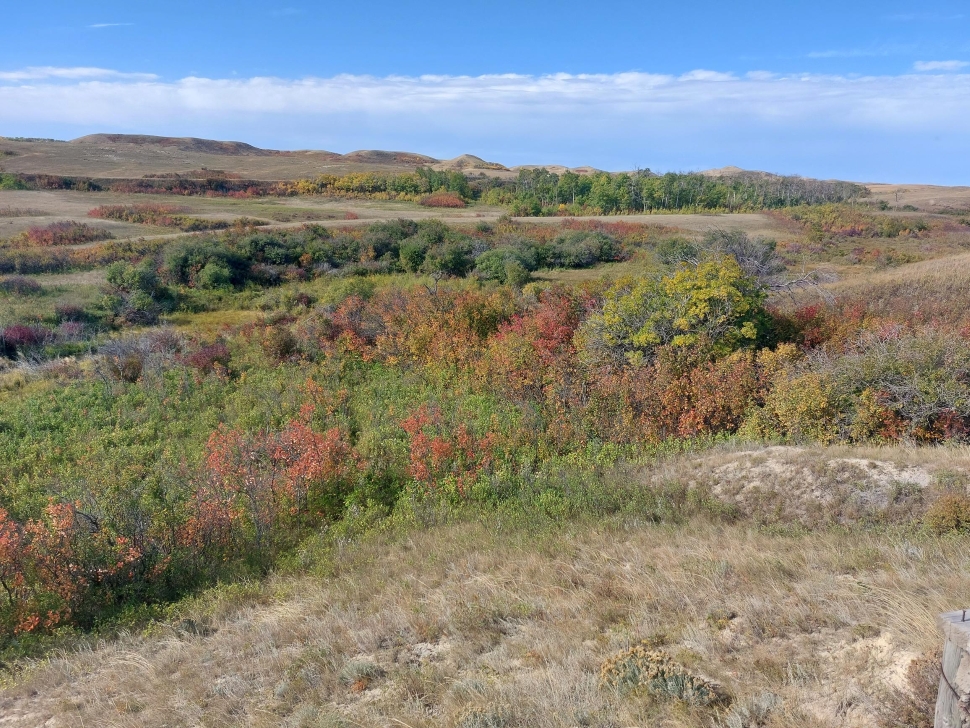 Nature Conservancy of Canada secures 426 hectares of vital grassland near Rockglen - DiscoverWeyburn.com