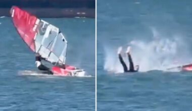 Windsurfer collides with whale in unbelievable video