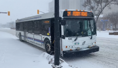 Crime on Winnipeg transit dropped during police safety initiative