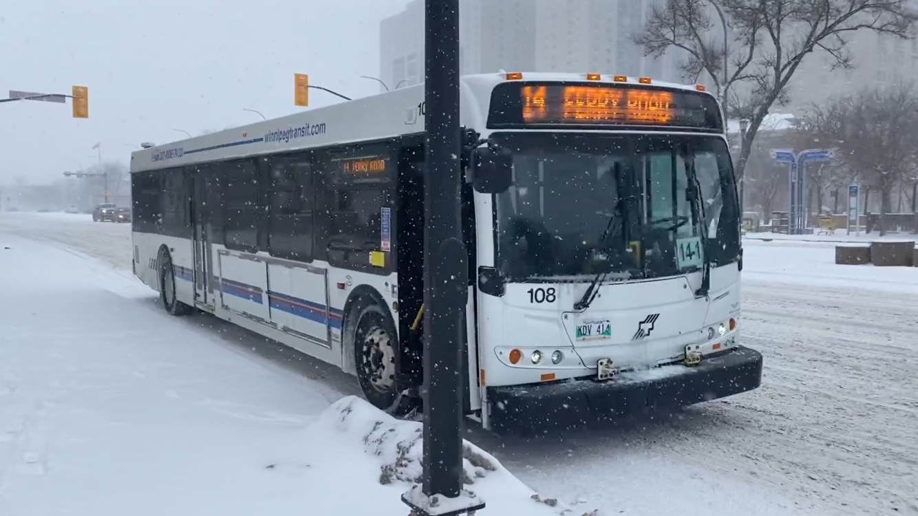 Crime on Winnipeg transit dropped during police safety initiative