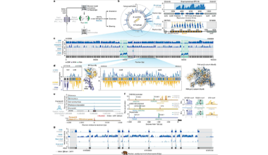With Evo 2, AI Can Model And Design The Genetic Code For All Domains Of Life