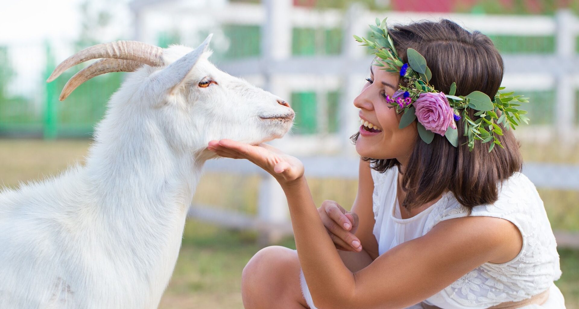 10 fun things to do in Calgary this week (March 30 to April 3)