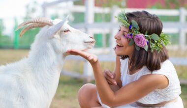 10 fun things to do in Calgary this week (March 30 to April 3)