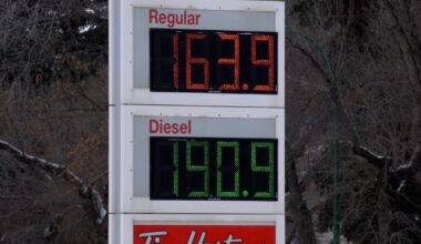 Small businesses impacted by war