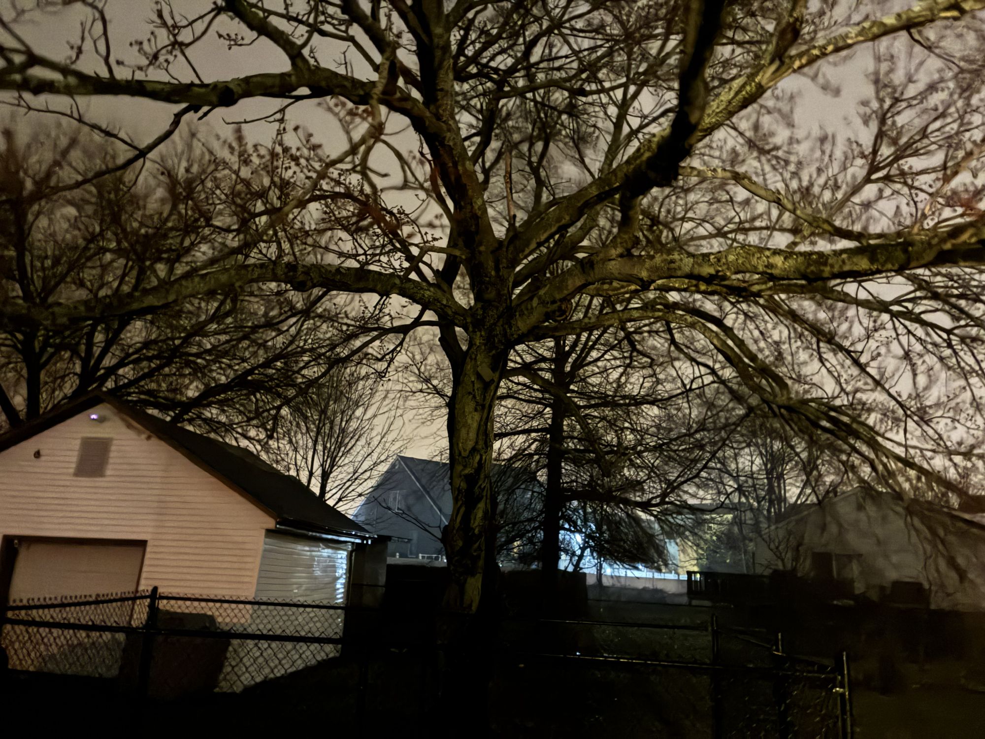 Apple iPhone 17e camera sample.