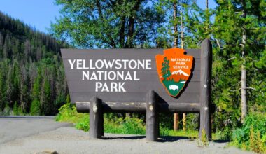 Yellowstone National Park