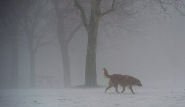 special weather statement in effect