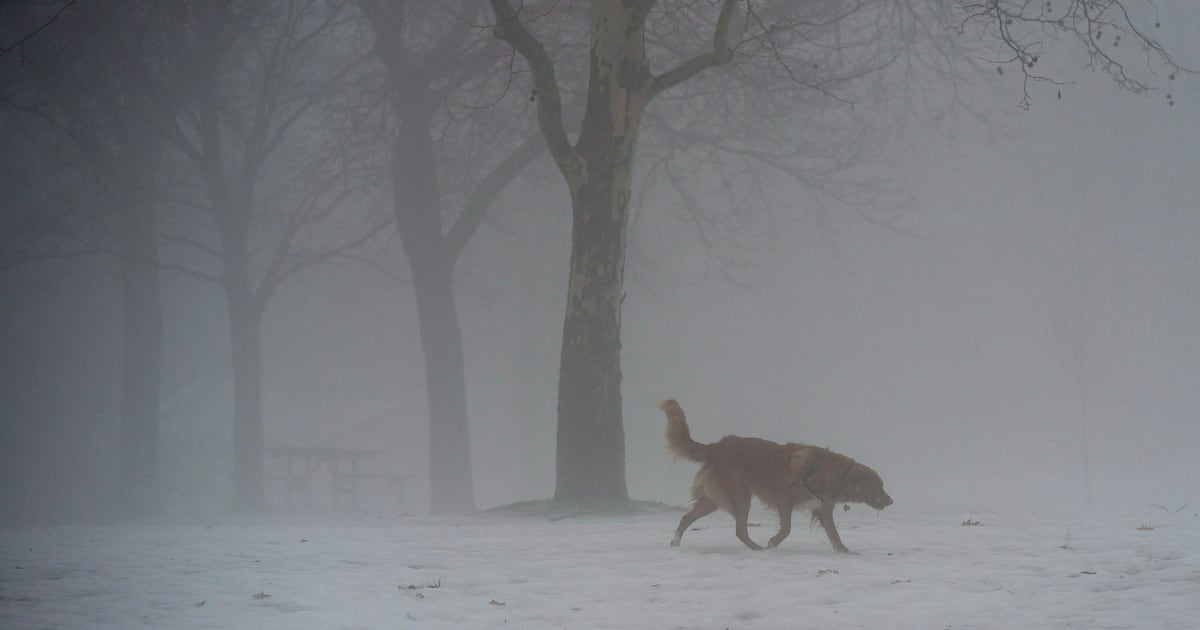 special weather statement in effect