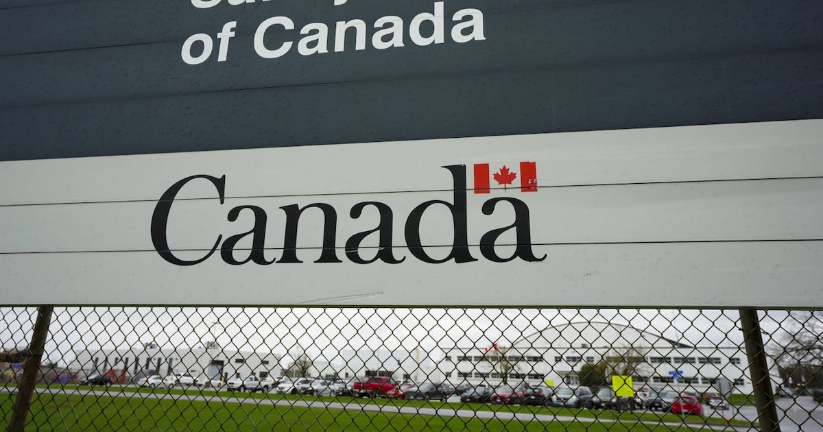 Pilot dead in southern New Brunswick helicopter crash, safety board investigating