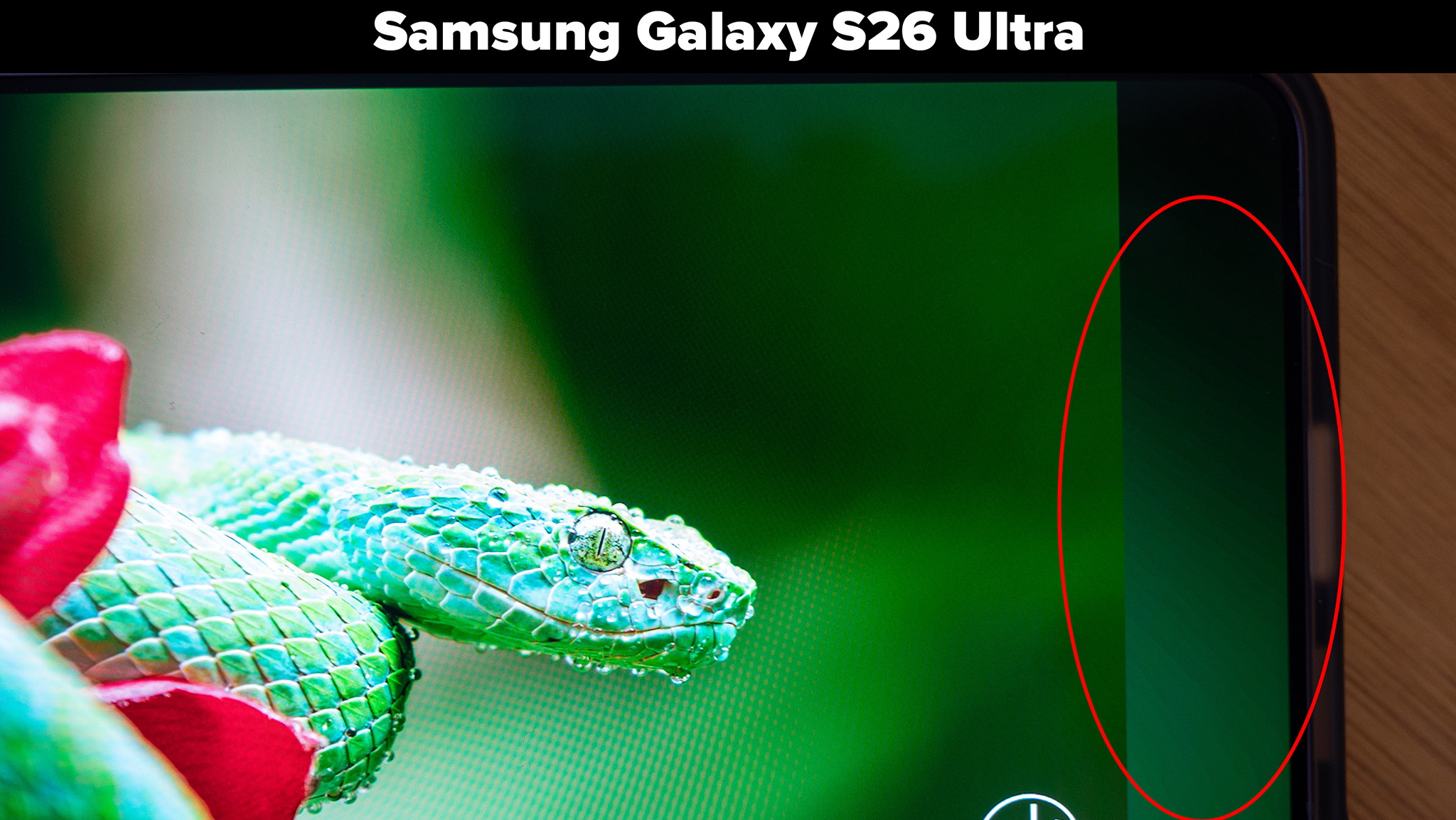 Color banding ocurring on the YouTube app outside of a 10-bit video